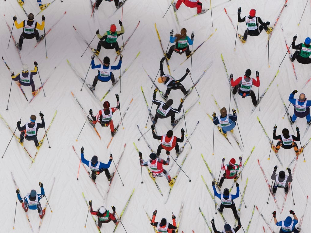 Cross-country skiing through snowy forest